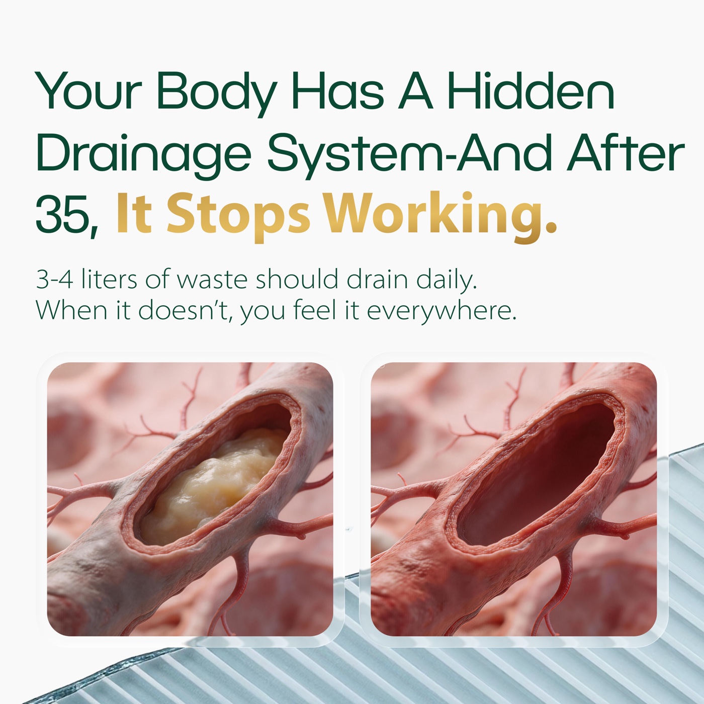 Your Body Has A Hidden Drainage System — And After 35, It Stops Working. 3-4 liters of waste should drain daily.